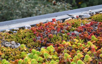 the cost of Old Woking green roof installation