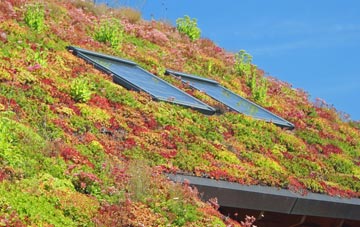 Old Woking living roof systems