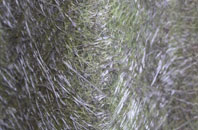 Old Woking fibreglass roof work